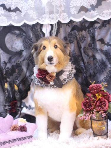 20231017リクくん